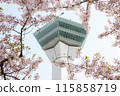 Goryokaku Tower surrounded by cherry blossoms 115858719
