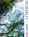 Cherry blossoms appearing on the surface of the water 115858726