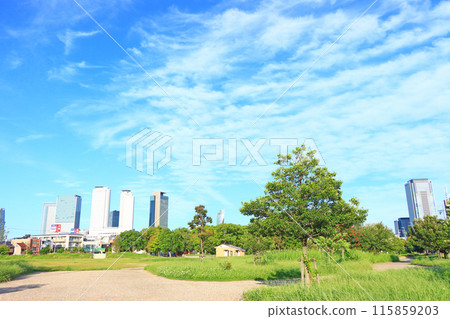 愛知縣名古屋市米野公園和名古屋車站前的摩天大樓風景 115859203