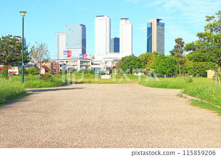 愛知縣名古屋市米野公園和名古屋車站前的摩天大樓風景 愛知縣名古屋市米野公園和名古屋車站前的摩天大樓風景 115859206