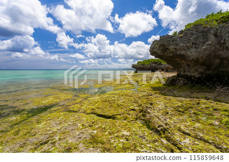 Okinawa Prefecture, sea, blue sky 115859648