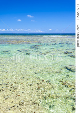 沖繩縣,海,藍天 沖繩縣,海,藍天 115859785