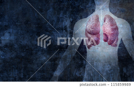 Human Respiratory System Human Respiratory System 115859989