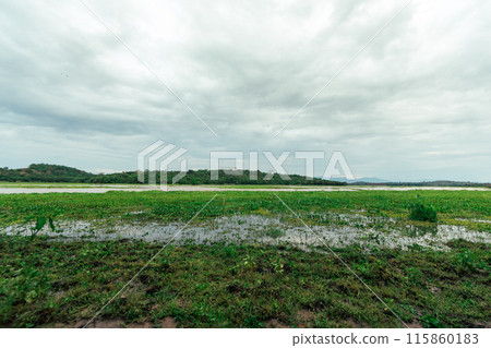 View of Chiang Saen lake 115860183