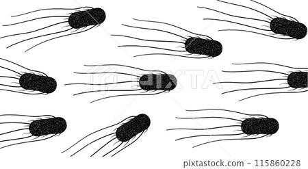 .Salmonella Typhimurium Cells .Salmonella Typhimurium Cells 115860228