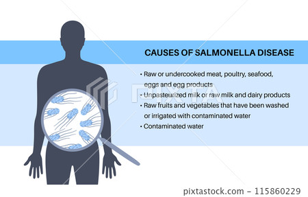 .Salmonella Typhimurium Cells .Salmonella Typhimurium Cells 115860229