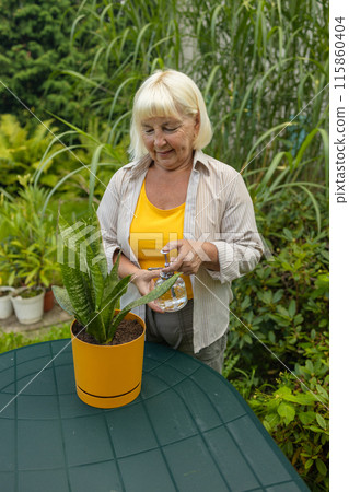 Closeup view of elderly woman watering flower plant outdoors. Pretty female taking care of garden. Watering flowers from watering can in summer time. Free time hobbies for seniors. Closeup view of elderly woman watering flower plant outdoors. Pretty female taking care of garden. Watering flowers from watering can in summer time. Free time hobbies for seniors. 115860404