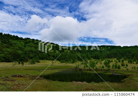 長野縣東禦市湯之丸高原池之平濕地風景 長野縣東禦市湯之丸高原池之平濕地風景 115860474
