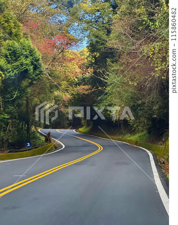 山路、山路、合惠山、台灣高山、高山、山路、山區公路、合歡山、台灣高山、高山、 115860482