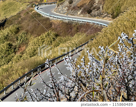山路、山路、合惠山、台灣高山、高山、山路、山區公路、合歡山、台灣高山、高山、 115860489