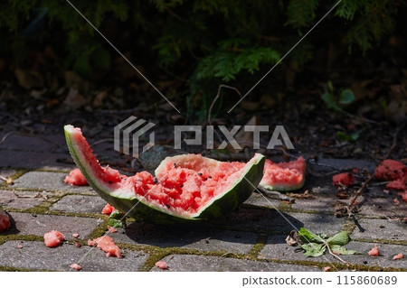 Dropped watermelon on the ground 115860689