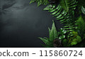 Summer plants and a chic message space on a black wall summer plants black board 115860724
