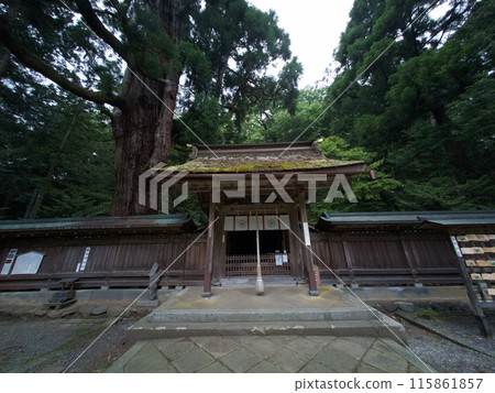 Wakasahiko Shrine Lower Shrine 115861857