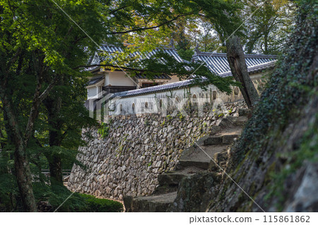 Scenery of Bitchu Matsuyama Castle in Okayama 115861862
