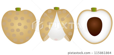Set fresh longan  the skin is cut, whole, cut in half, with bone isolated on white background. 115861864