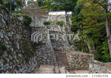 岡山備中松山城大手門關和石牆 岡山備中松山城大手門關和石牆 115862436