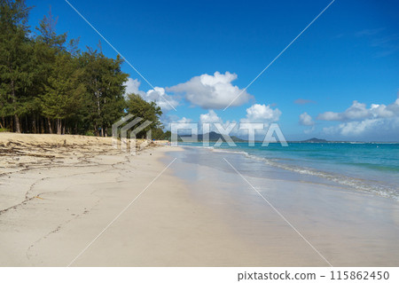 An outoffocus picture showing a seaside with trees in the distant view 115862450