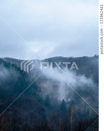 Misty Carpathian Mountains fog landscape Foggy morning green fir trees Scenic forest rainy day Calm tranquil Carpathians 115862481