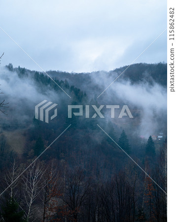 Misty Carpathian Mountains fog landscape Foggy morning green fir trees Scenic forest rainy day Calm tranquil Carpathians 115862482
