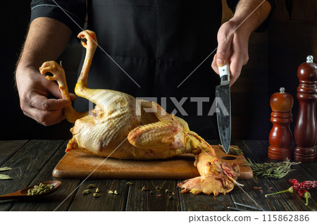 Cooking raw rooster on the kitchen table. Knife in the hand of a cook for cutting chicken on the kitchen table before baking in the oven Cooking raw rooster on the kitchen table. Knife in the hand of a cook for cutting chicken on the kitchen table before baking in the oven 115862886
