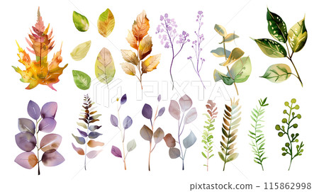 Set of colourful botanical leaves in watercolor paint style on a transparent background. Isolated flowers and leaves for decoration elements in pastel purple, orange and green colors. 115862998
