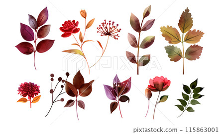 Set of colourful botanical flowers and leaves in watercolor paint style on a transparent background. Isolated flowers and leaves for decoration elements in red and orange colors. Set of colourful botanical flowers and leaves in watercolor paint style on a transparent background. Isolated flowers and leaves for decoration elements in red and orange colors. 115863001