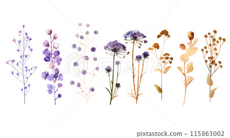 Set of colourful botanical flowers and branches in watercolor paint style on a transparent background. Isolated flowers and leaves for decoration elements in orange and violet colors. Set of colourful botanical flowers and branches in watercolor paint style on a transparent background. Isolated flowers and leaves for decoration elements in orange and violet colors. 115863002