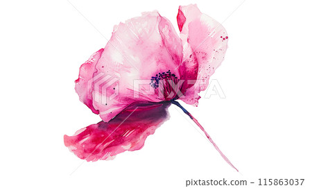 A beautiful pink poppy flower in watercolor painting style on a transparent background. Isolated of botanical flowers and leaves for decoration elements in vivid colors. A beautiful pink poppy flower in watercolor painting style on a transparent background. Isolated of botanical flowers and leaves for decoration elements in vivid colors. 115863037