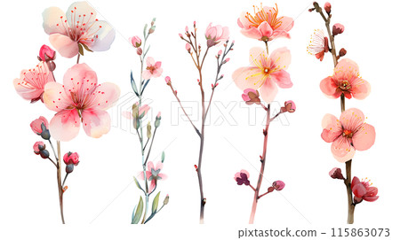 Set of pink cherry blossom flowers and branches in watercolor paint style on a transparent background. Isolated flowers and branches for decoration elements in pastel colors. 115863073