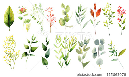 Set of colourful botanical leaves in watercolor paint style on a transparent background. Isolated flowers and leaves for decoration elements in purple, red, orange and green colors. Set of colourful botanical leaves in watercolor paint style on a transparent background. Isolated flowers and leaves for decoration elements in purple, red, orange and green colors. 115863076