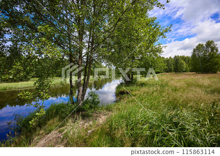 Beautiful summer river at sunny day with clouds reflection in the water 115863114
