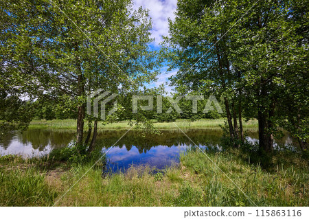 Beautiful summer river at sunny day with clouds reflection in the water 115863116