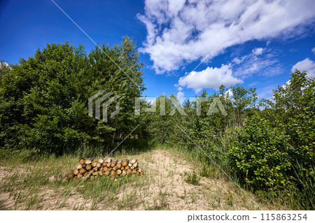 A pile of stacked firewood, prepared for heating the house 115863254