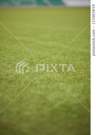 A green soccer field featuring white line markings for soccer games and competitions 115863659