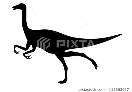 Dinosaur gallimimus silhouette 115863927