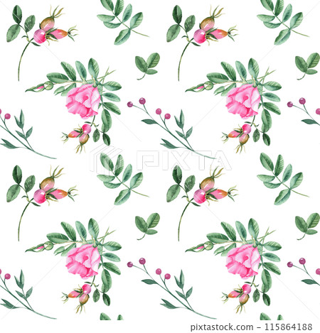 Dog rose Floral Watercolor seamless pattern on white background. Hand drawn botanical illustration. Rose hip flowers, buds, branches and berries. Can be used for fabric, textile, packaging prints 115864188