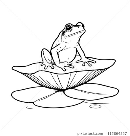 Outline coloring book for children of frogs on water lilies 115864237