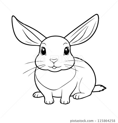 Outline coloring book for children of a cute rabbit Outline coloring book for children of a cute rabbit 115864258
