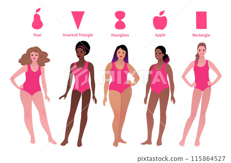 Set of body-positive female body types 115864527