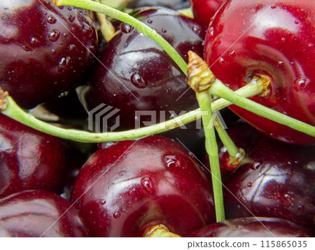A closeup view of a group of cherries with fresh green stems 115865035