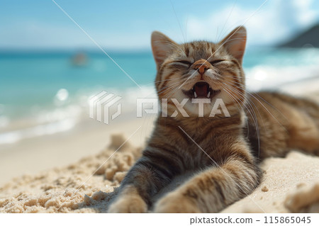 An orange cat yawing at the beach An orange cat yawing at the beach 115865045