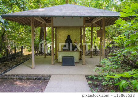Lush landscape of Todoroki Valley in Tokyo, Japan Lush landscape of Todoroki Valley in Tokyo, Japan 115865528