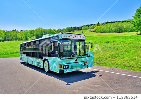 Sahoro Resort Bear Mountain Scenery 115865614