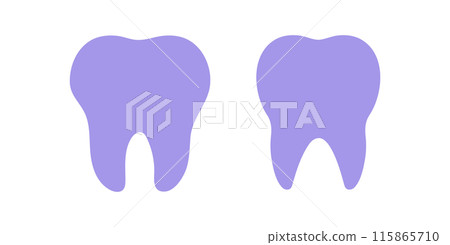Tooth icon. Dental Silhouette. Vector educational illustration 115865710