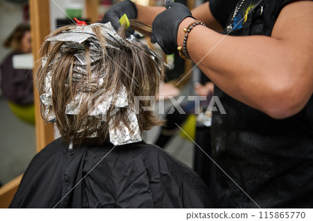 Professional hairstylist applying color to client's hair in salon Professional hairstylist applying color to client's hair in salon 115865770