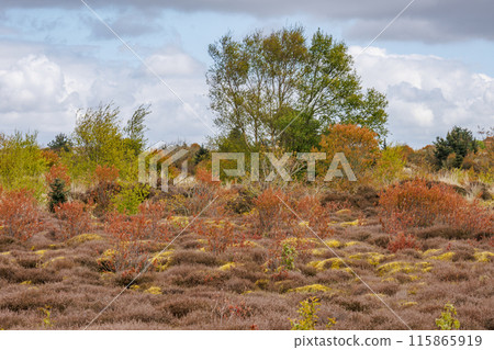 the dutch island of Ameland in the north sea 115865919