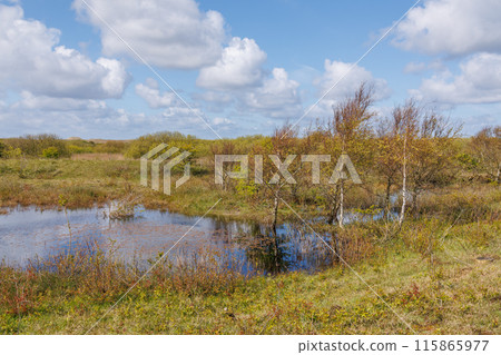 Ameland island in the netherlands Ameland island in the netherlands 115865977