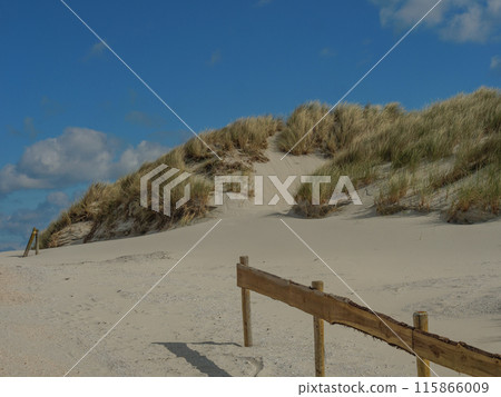 Ameland island in the netherlands 115866009