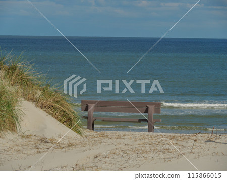 Ameland island in the netherlands 115866015