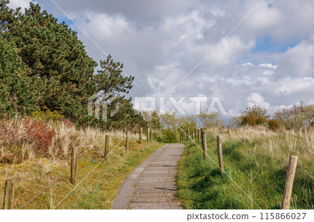 Ameland island in the netherlands 115866027